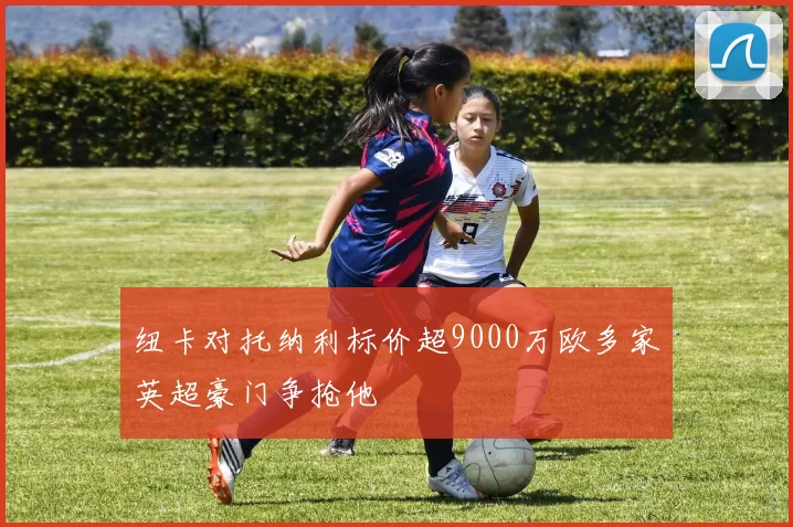 纽卡对托纳利标价超9000万欧多家英超豪门争抢他